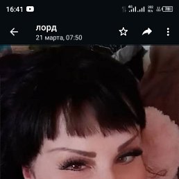 ���� ������, ������, 43 ���� - ��������� 10 ��� 2023