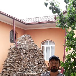 ���� �����, �����, 41 ��� - ��������� 9 ������� 2023