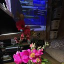 ���� ������, �����, 42 ���� - ��������� 14 ������ 2023 � ������ ������ ��������