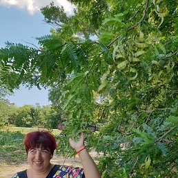 ���� ������, ������, 38 ��� - ��������� 6 ������ 2023