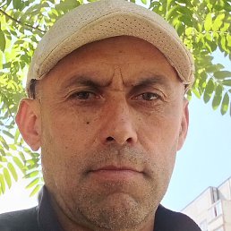 �����, ������, 48 ���