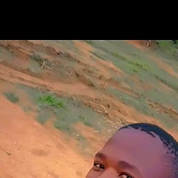 Simplice, �����, 22 ����