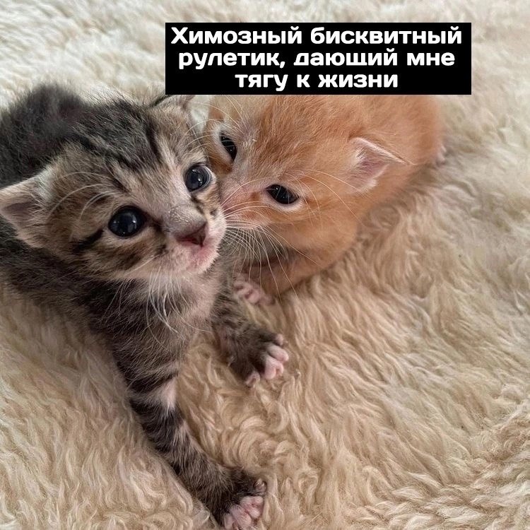 Химозный это. Химозный рулетик Мем. Рулет химозный. Мем про химозный рулетик и нервную систему.