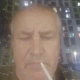 ��������, ������, 65 ���