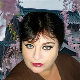 ���� �����, ��������, 41 ��� - ��������� 14 ���� 2023