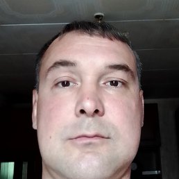 ������, �����, 41 ���