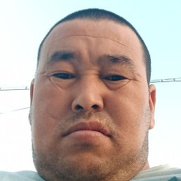 ����, �������, 40 ���