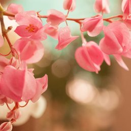 ������, ������, 48 ���