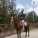 ���� Dark, ������, 29 ��� - ��������� 7 ������� 2023