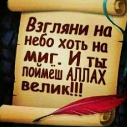 ���, �����, 51 ���