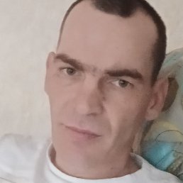 ��������, �����������, 37 ���