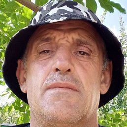 ������, �������, 51 ���