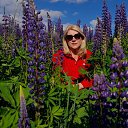 ���� ������, ������-��� - ��������� 19 ���� 2023 � ������ ���� ����������