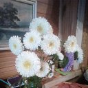 ���� ����������, �����������, 41 ��� - ��������� 9 ���� 2023 � ������ ���� ����������