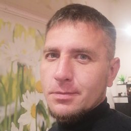 ���������, ������, 37 ���