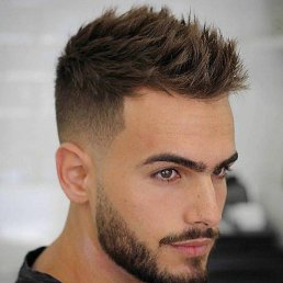 , 37, 
