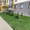 ���� ����, ������, 69 ��� - ��������� 25 ������ 2023 � ������ ���� ����������
