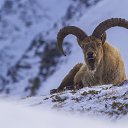 ���� ������, �����������, 29 ��� - ��������� 2 ������� 2023 � ������ ���� ����������