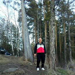 �������, ���������, 50 ���