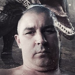 �����, ������, 41 ���