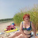 ���� �����, ������������, 66 ��� - ��������� 4 ������� 2023 � ������ ���� ����������