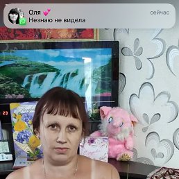 �������, 40 ���, ������