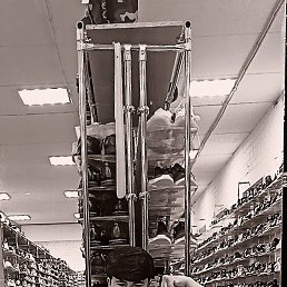 ������, ���, 23 ����