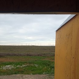 ���� ������, �����-���������, 54 ���� - ��������� 17 ������� 2023