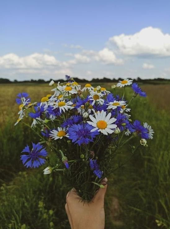 Handmade Club | ���� ��������.���y� - 5