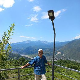 Roland, �������, 73 ����