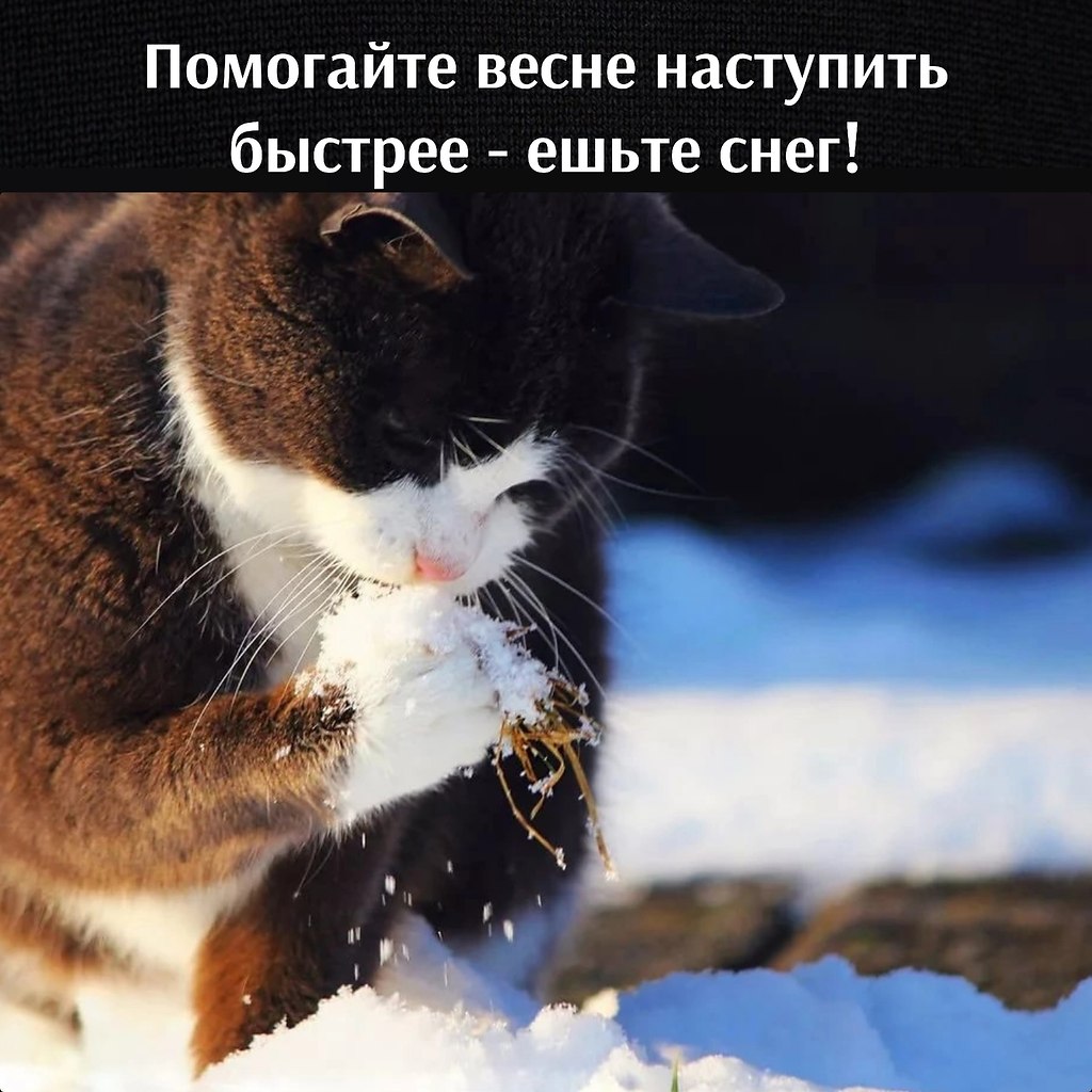       - 15  2023  10:02