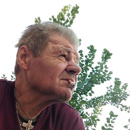 ���������, ���������, 71 ���