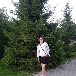 ���������, �����-���������, 44 ����