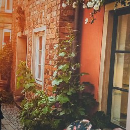 ���� ����, ����, 60 ��� - ��������� 24 �������� 2023