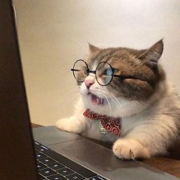 D�����, �����-���������, 38 ���