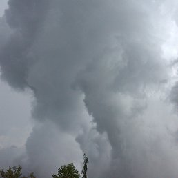 ���� ������, ���� - ��������� 28 ������ 2023