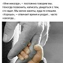 ���� ��������, ������, 56 ��� - ��������� 5 ������� 2023 � ������ ������ ������