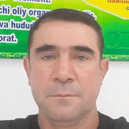 , , 51 