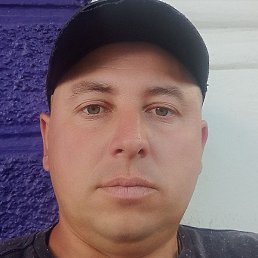 ����, �������, 51 ���