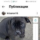 ���� �������, �����������, 55 ��� - ��������� 24 ������� 2023