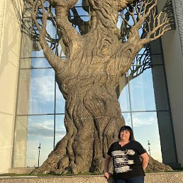 ���� ������, ������, 38 ��� - ��������� 2 ����� 2023