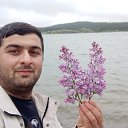 ���� �����, �����������, 33 ���� - ��������� 8 ��� 2023