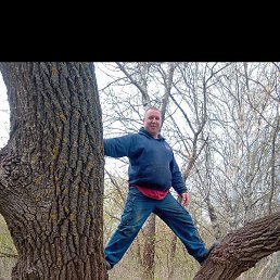 ����, ���������, 40 ���