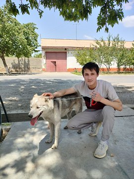 Amir, 28 ���, �����