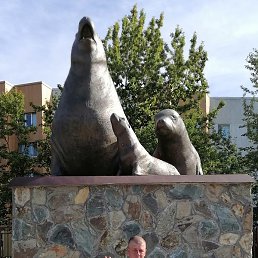 �������, �������, 42 ����