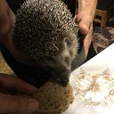 ���� ������, ������, 38 ��� - ��������� 18 ������ 2023 � ������ ���� ����������