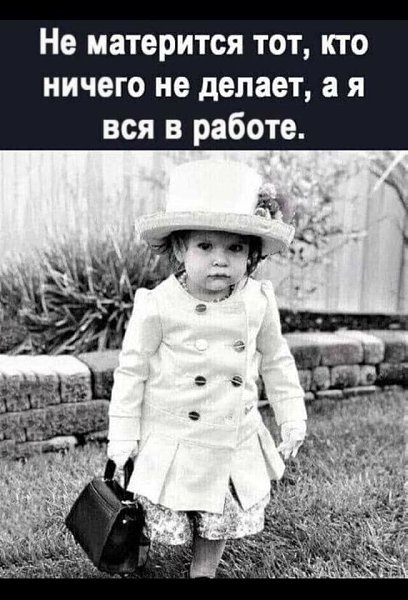   - 11  2023  22:23