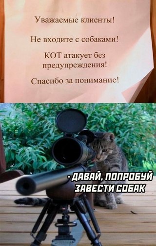   - 14  2023  16:21