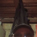 ���� ���������, ��������, 68 ��� - ��������� 9 �������� 2023 � ������ ���� ����������