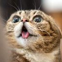 ���� �������, ������ - ��������� 26 ������� 2023 � ������ ���� ����������